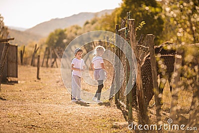 Little blonde boy and girl on the farm with wild horses Stock Photo