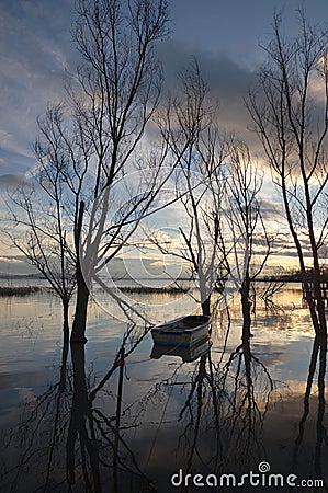 Little boat and trees Stock Photo