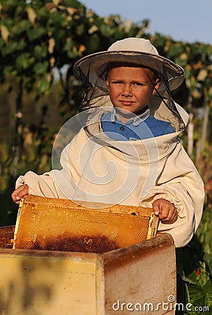 Little boy beekeeper works on an apiary at hive Stock Photo