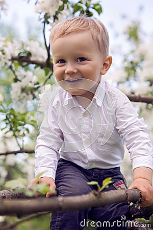 Little boy blond in a white shirt and blue pants sitting on flowered tree Stock Photo