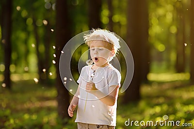 Little boy blows down dandelion fluff. Making a wish Stock Photo