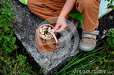 a little boy borrowed a manual coffee grinder and grinded biscuits. Stock Photo