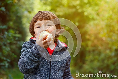Little boy child kid eating apple fruit autumn fall copyspace ga Stock Photo