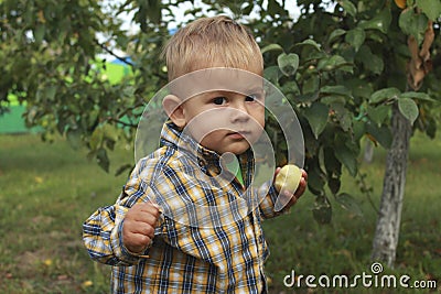 Little boy eating red apple in orchard Stock Photo