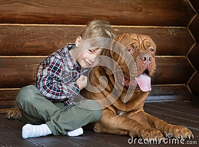 Little boy embracing big Bordeaux dog Stock Photo