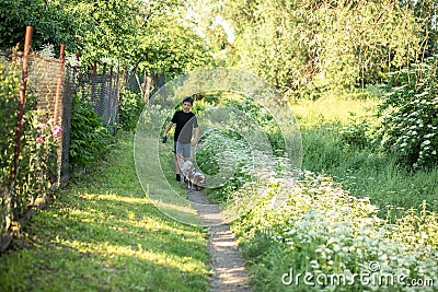 Little boy and favorite companion dog coker spaniel friend walking garden, trees, greenery, street. Light day outdoor Stock Photo