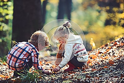 Little boy and girl friends have fun on fresh air. Children pick acorns from oak trees. Brother and sister camping in Stock Photo