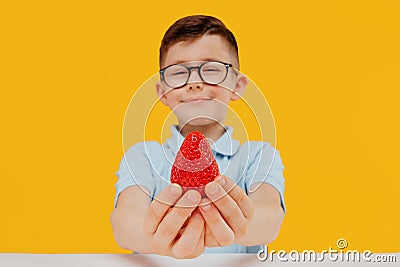 Little boy in glasses holds a strawberry in hand. Stock Photo