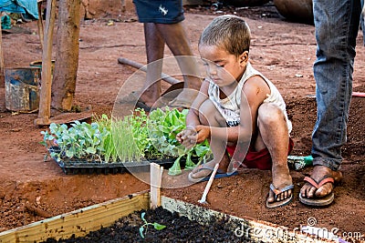 A little boy helping his parents plant a garden Editorial Stock Photo
