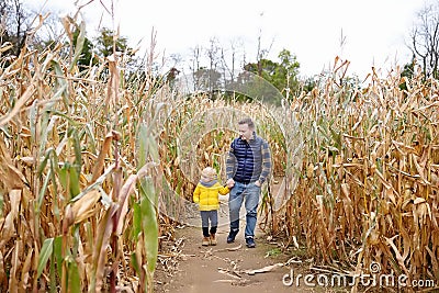 Little boy and his father having fun on pumpkin fair at autumn. Family walking among the dried corn stalks in a corn maze. Stock Photo