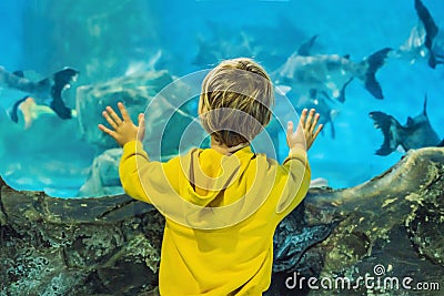 Little boy, kid watching the shoal of fish swimming in oceanarium, children enjoying underwater life in Aquarium Stock Photo