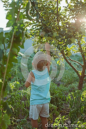 people grow natural food Stock Photo