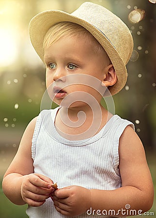 Little boy playing in park. Stock Photo