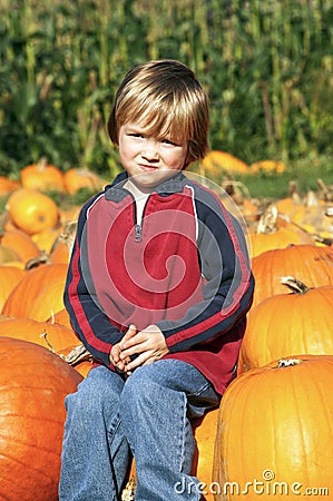 Little Boy at Pumpkin Patch Stock Photo