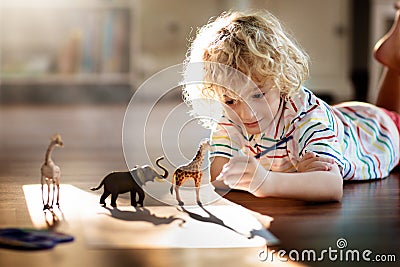 Little boy shadow drawing animals Stock Photo
