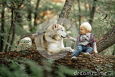 Little boy sits on tree trunk next to lying dog malamute and fee Stock Photo