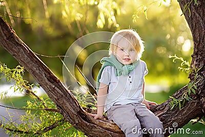 Little boy is sitting on a branch of big tree and is dreaming. Child`s games. Active family time on nature. Hiking with kids Stock Photo