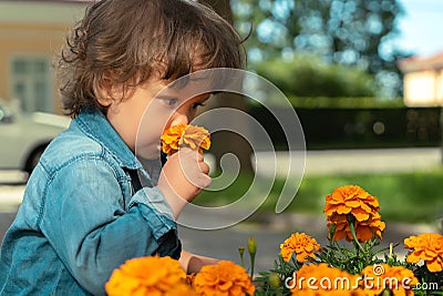 Little boy sniffing flowers Stock Photo