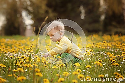 Little boy on the spring meadow Stock Photo