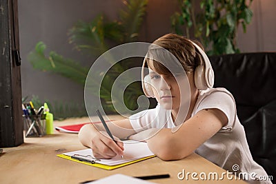 Little boy studying by group video call, use video conference with teacher, listening to online course Stock Photo