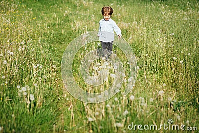Little boy 3 year playing in flower meadow, happy activity, running and freedom Stock Photo