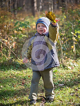 A little boy throws leaves in autumn park Stock Photo