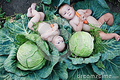 Little boys playing in garden with carrots Stock Photo