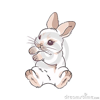 little brown rabbit Cartoon Illustration