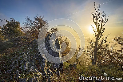 Little Carpathians,Slovakia, Vysoka hill at sunrise Stock Photo