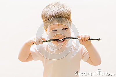 Little Caucasian boy plays outdoors in the park with a stick from a tree, bites it Stock Photo