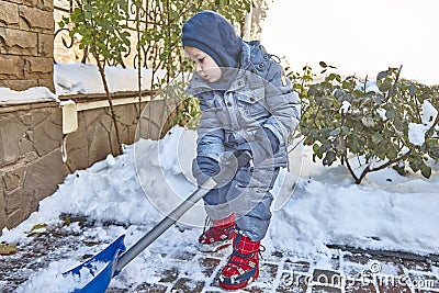 Little caucasian boy shovels snow in the yard with beautiful snowy rose bushes. Child with shovel plays outdoors in winter. Childr Stock Photo