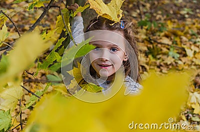 Little charming girl child throws up fallen yellow maple leaves in autumn park Stock Photo