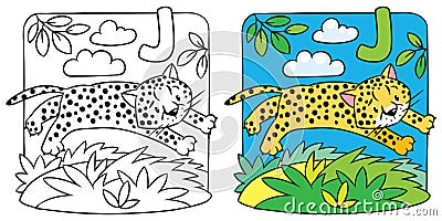 Little cheetah or jaguar coloring book. Alphabet J Vector Illustration