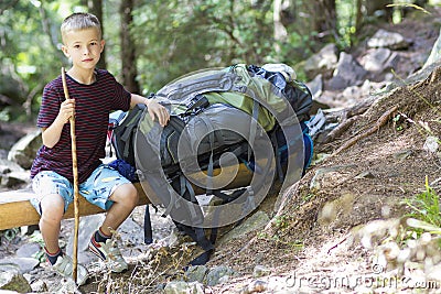 Little child boy with hikers backpack travelling in forest Editorial Stock Photo