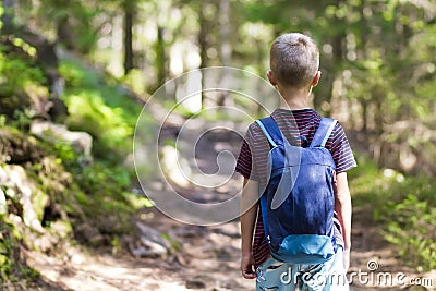 Little child boy with hikers backpack travelling in forest Stock Photo