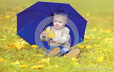 Little child sitting on grass with umbrella playing with yellow leafs in autumn Stock Photo