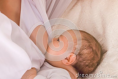 The little child sucks his mother breast Stock Photo