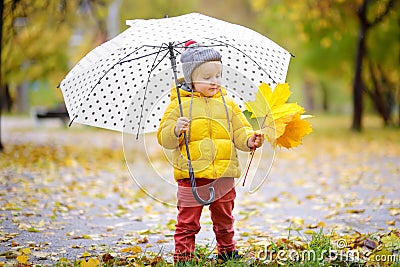 Little child walking in the city park at rainy autumn day. Toddler boy with umbrella for fall weather Stock Photo