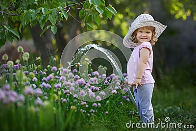 Little child watering onions in the garden Stock Photo