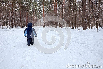 A little childe walks in the winter forest Stock Photo