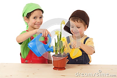 Little children caring for potted narcissus Stock Photo