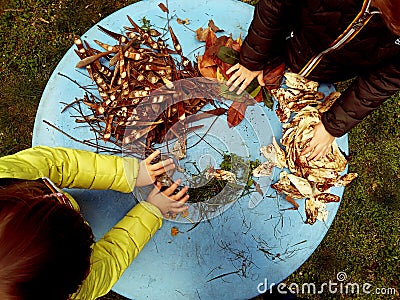 Little children playing, expolring and gardening in the garden with soil, leaves, nuts, sticks, plants, seeds during a school Stock Photo