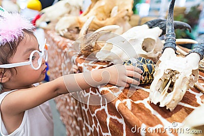 Little children and various animal skeletons. Stock Photo