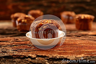 Little chocolate cakes made at home, Stock Photo