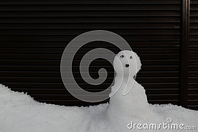 Little chocolate eyes snowman at shirakawa-go Stock Photo