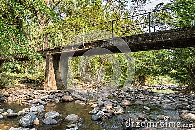 Little Concrete bridge over Rill in forest Stock Photo
