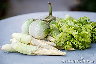 Little corn, green salad and eggplant Stock Photo
