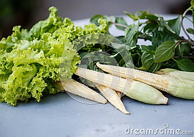 Little corn, lettuce and greens Stock Photo