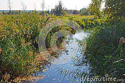 Little creek at a sunny autumn day in the surrounding countryside of Berlin Stock Photo