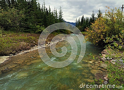 Little Crystal Clear Creek At Lake Louise Banff National Park Stock Photo